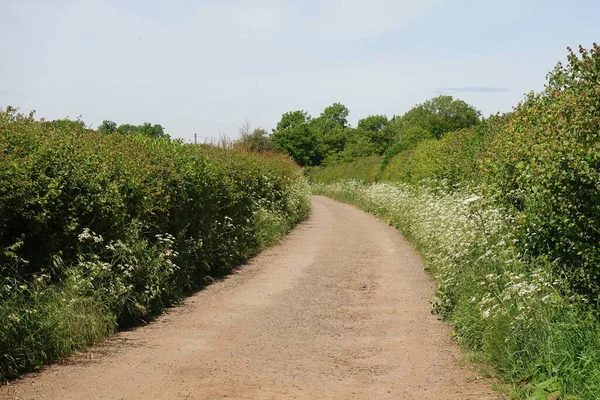 Dolambaçlı bir köy yolunun manzarası