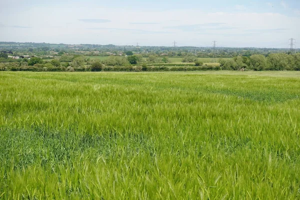 İngiltere 'de Bath yakınlarındaki Wiltshire Somerset sınırındaki Avon Vadisi' nde yemyeşil tarım arazileri ve mavi gökyüzü olan eski köyün manzarası.