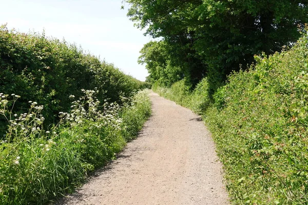 Dolambaçlı bir köy yolunun manzarası