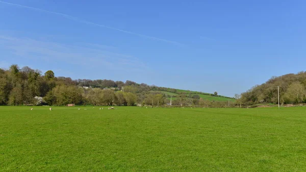 Vue Panoramique Sur Les Champs Agricoles Verdoyants Luxuriants Vieux Village — Photo