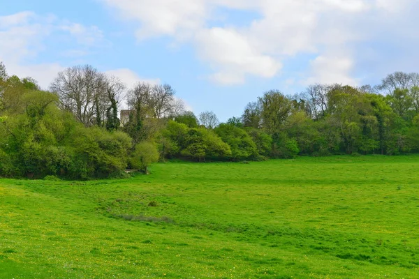 Vue Panoramique Une Route Campagne Sinueuse — Photo