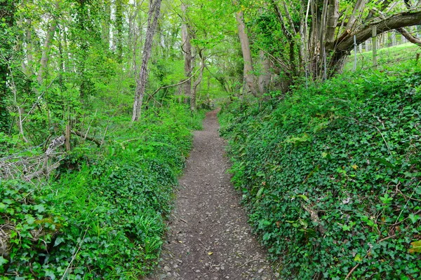 Dolambaçlı bir köy yolunun manzarası