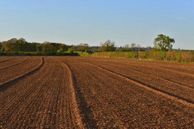Tarlada sürülen tarlaların manzarası
