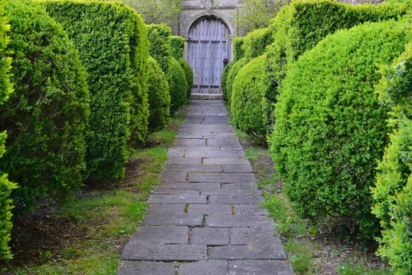 风景石铺修剪内衬花园路径通往老橡树门口 — 图库照片