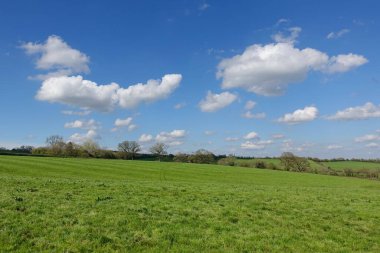 Üzerinde mavi bir gökyüzü olan yeşil alanın manzarası