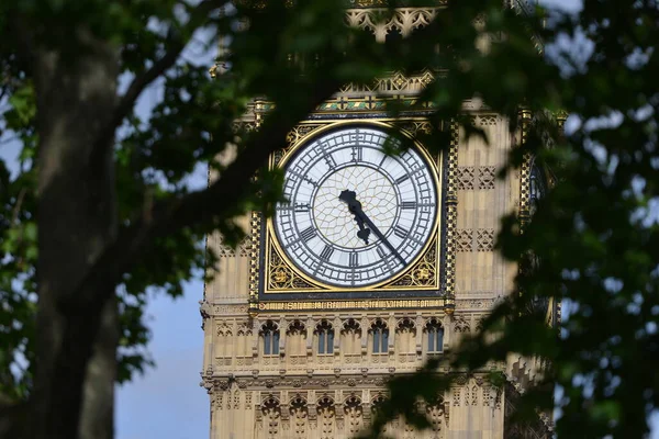 Das Zifferblatt Des Big Ben Gerahmt Von Grünem Laub Den — Stockfoto