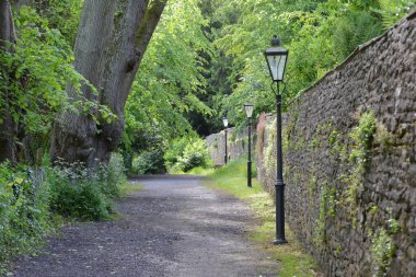 Ağaçlarla çevrili Country Road ve Taş Duvar