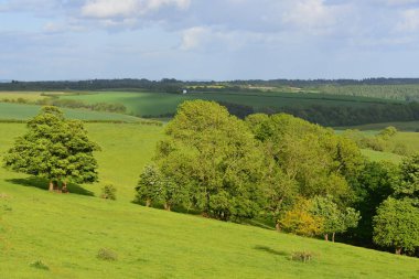 Yeşil Çiftlik Tarlaları, Rolling Hills ve Blue Sky 'ın Güzel Kırsal Manzara Manzarası Kırsal Wiltshire İngiltere' de Güneşli bir Yaz Gününde
