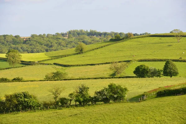 Prachtig Uitzicht Het Platteland Van Green Farm Fields Rolling Hills — Stockfoto