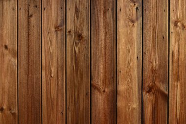 Taze çam ağacı panelleri arka planda