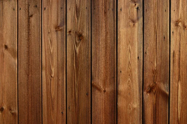 Taze çam ağacı panelleri arka planda