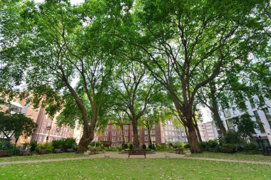 Yeşil bir şehir parkı manzarası