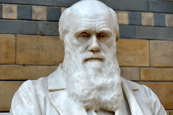 London June 2015 Statue Charles Darwin Sits Natural History Museum — стокове фото