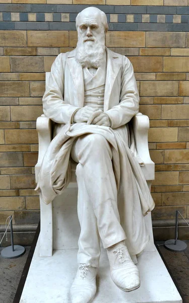London June 2015 Statue Charles Darwin Sits Natural History Museum — стокове фото