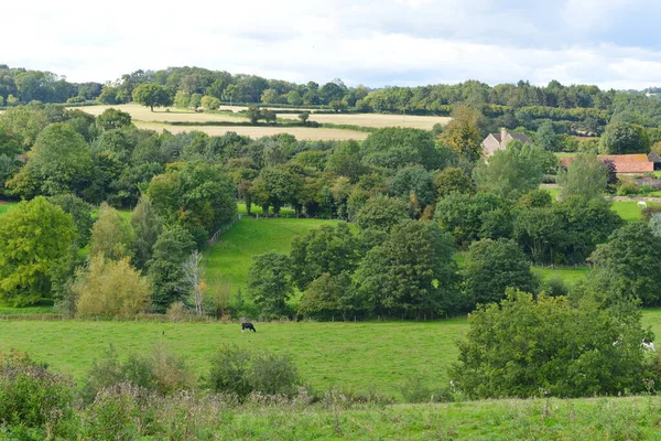 Vue Panoramique Sur Les Champs Verdoyants Les Arbres Feuillus Dans — Photo