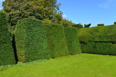 Bahçedeki çimlerin ve çitlerin manzarası.