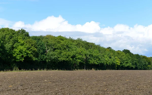 Scenic Countryside View Ploughed Farmland Leafy Trees Summer — Stock Photo, Image