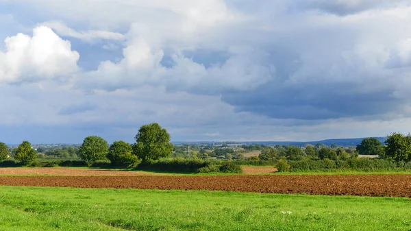 Vista Panorâmica Paisagem Campos Verdes Árvores Frondosas Vale — Fotografia de Stock