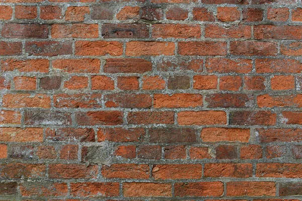 Old Brick Wall Texture Background — Stock Photo, Image