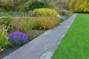 Güzel kırsal kesimde dar bir yolun manzarası