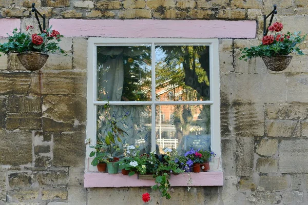 View Beautiful Flowers Growing Window Garden Old House — Stock Photo, Image