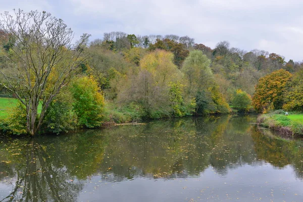 Scenic view of a river lined by leafy trees in autumn