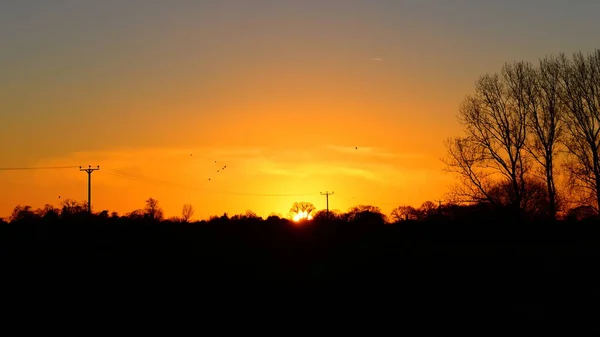 Видовищний Захід Сонця Через Силуетний Ліс Красивим Сутінковим Небом Над — стокове фото
