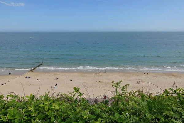 Kumlu sahil ve mavi denizin manzarası