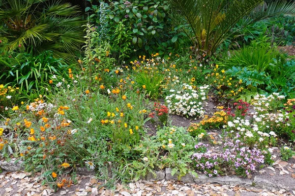 Pohled Barevné Záhony Květin Zahradě — Stock fotografie
