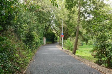 Park bahçesinde yürüyüş manzarası.