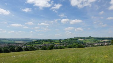 Yeşil bir tarlanın manzarası ve üzerinde mavi bir gökyüzü olan yapraklı ağaçlar.