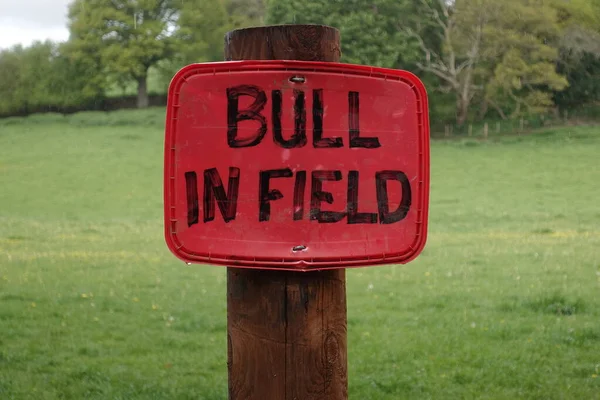 View Generic Sign Reading Bull Field — Stock Photo, Image