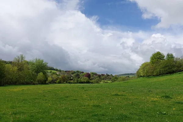 Vista Panorámica Campo Verde Árboles Frondosos Con Cielo Azul Por —  Fotos de Stock