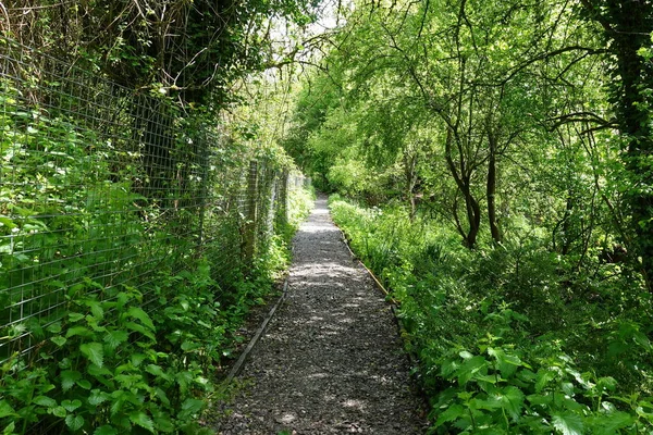 Scenic View Walkway Park Garden — Stock Photo, Image