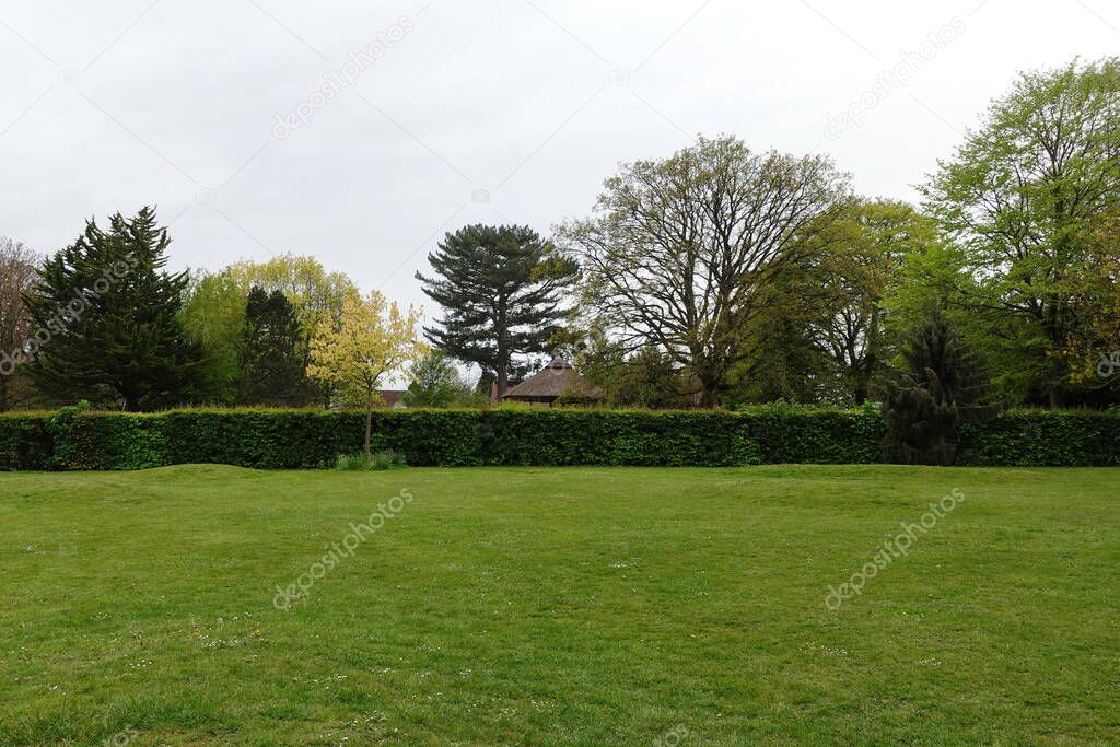 Scenic view of a green field and leafy trees with a blue sky above