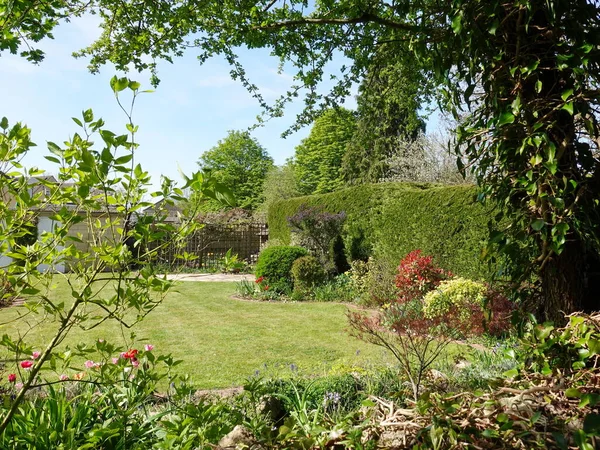 Vista Panorámica Césped Hierba Enmarcado Por Árboles Frondosos Hermoso Jardín — Foto de Stock