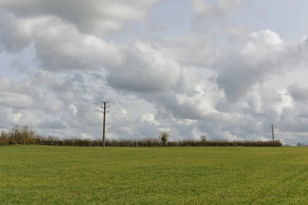 Vista Torres Eléctricas Corriendo Por Campo —  Fotos de Stock