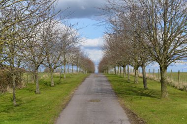 Bir parktan geçen bir yolun manzara görüntüsü 