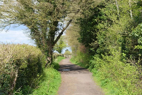 Scenic View Path Park — Stock Photo, Image