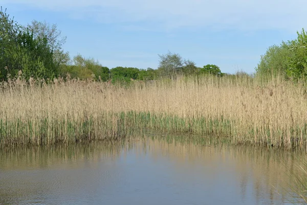 Hermoso Paisaje Con Lago — Foto de Stock