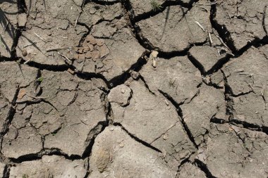 Kuru çatlamış toprağın yakın çekim görüntüsü