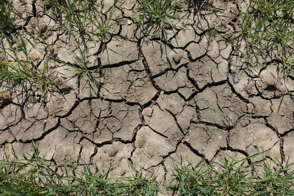 Close View Dry Cracked Earth — Stockfoto