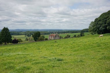 Kırsaldaki açık bir arazinin manzarası