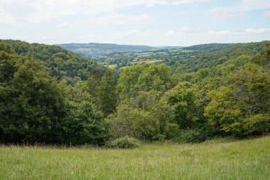 Kırsaldaki açık bir arazinin manzarası