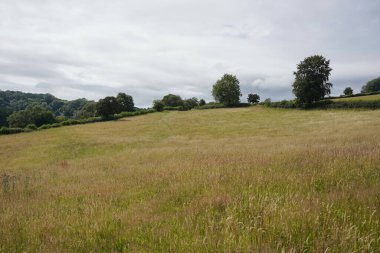 Kırsaldaki açık bir arazinin manzarası