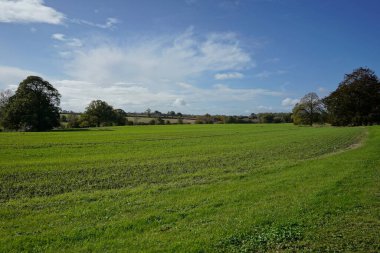 Kırsaldaki açık bir arazinin manzarası