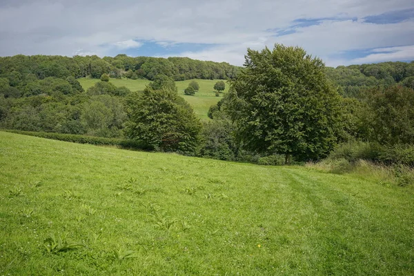 Scenic View Open Field Countryside — Zdjęcie stockowe