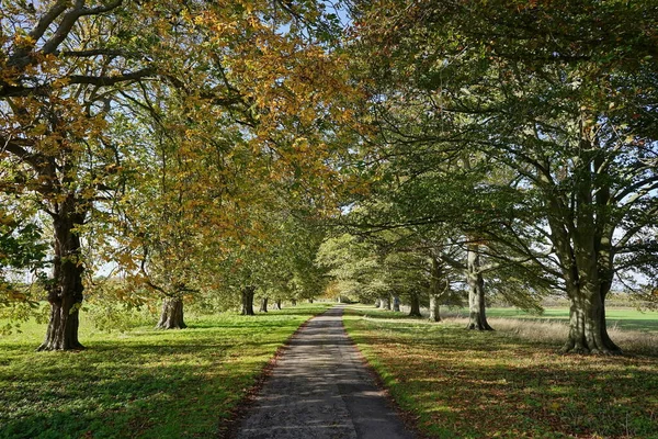 Scenic View Path Park — Stockfoto