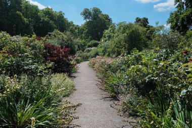 Bir parktan geçen bir yolun manzara görüntüsü 