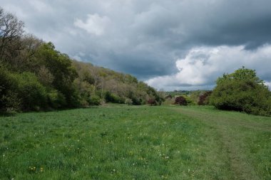 Kırsaldaki açık bir arazinin manzarası